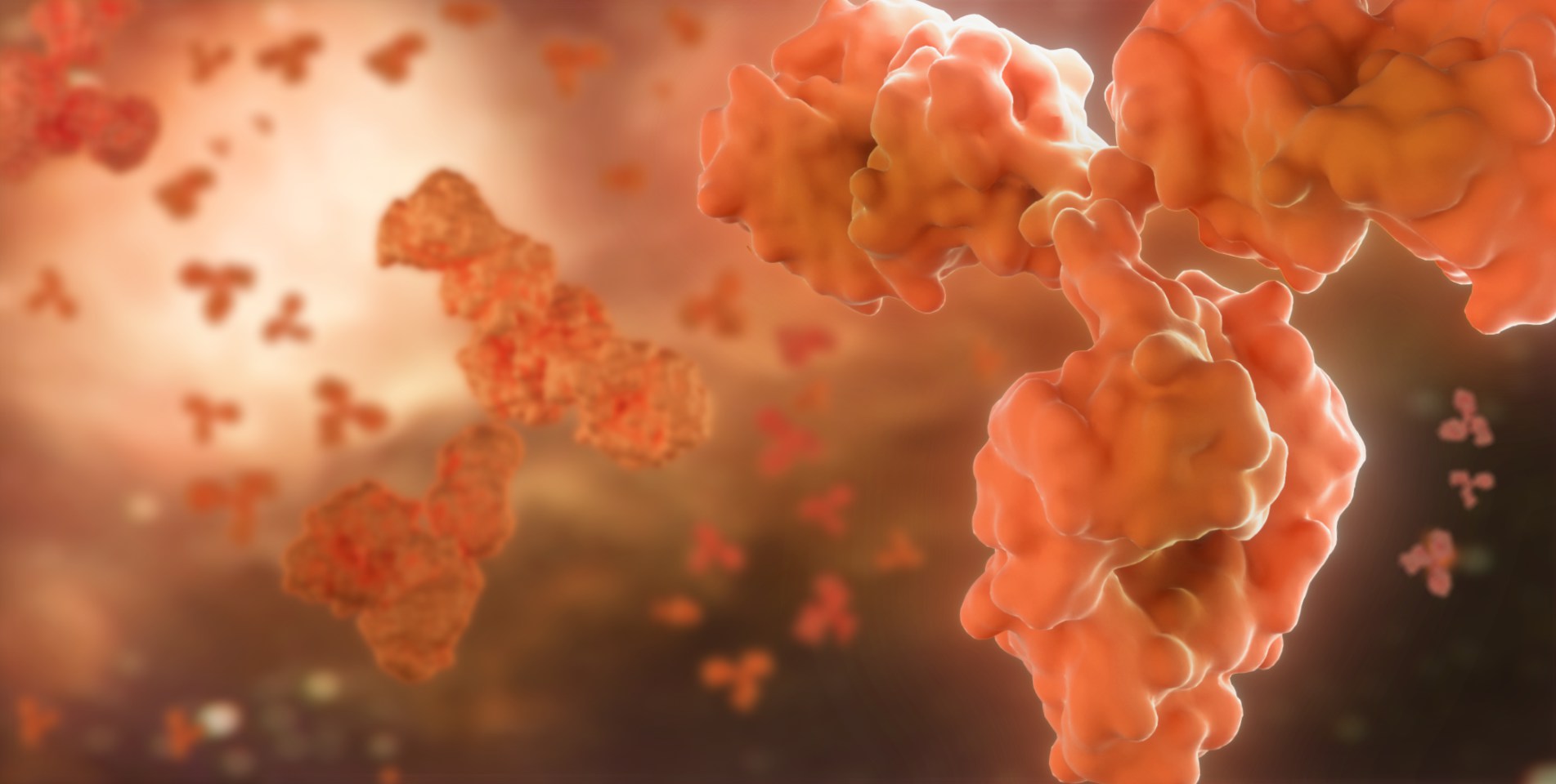 �������ǲ���(�й���)���Ź���