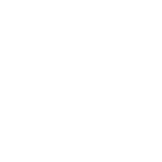 �������ǲ���(�й���)���Ź���